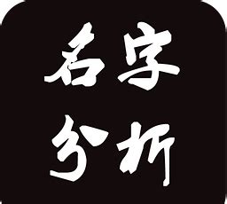 名字意义分析